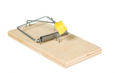 peynirli bir fare kapanı