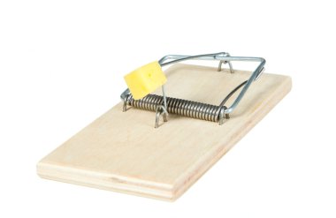 peynirli bir fare kapanı