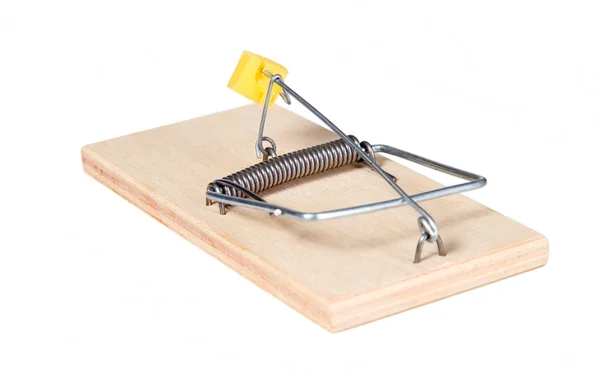 A mouse trap with cheese — Stock Photo, Image
