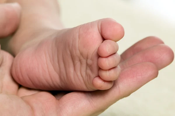 Madre está sosteniendo el pie del bebé —  Fotos de Stock