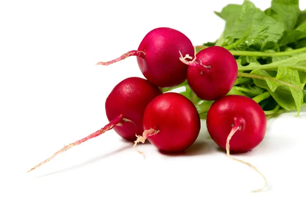 Fresh radish — Stock Photo, Image