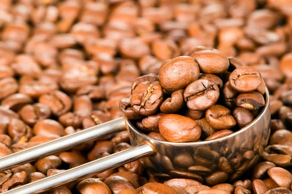 Fond de grains de café avec cuillère — Photo