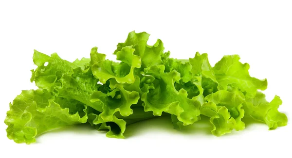 Свіжий і зелений салат — стокове фото