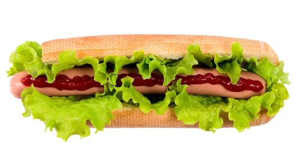 Hot dog savoureux, nourriture — Photo