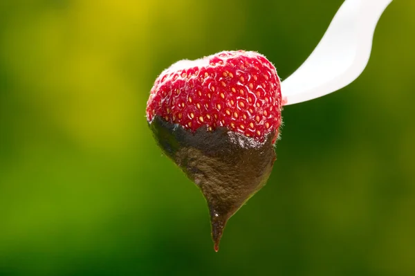 Czerwone truskawki w czekoladzie — Zdjęcie stockowe