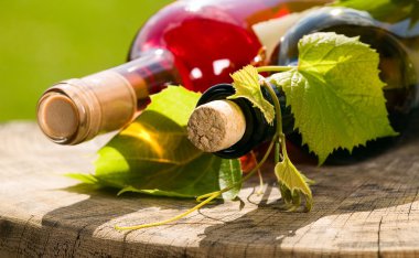 Frenk üzümü şarap şişesiyle çevresinde bırakır.