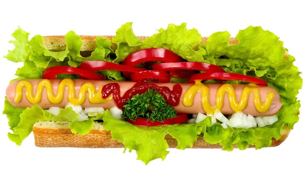 Hot dog savoureux, nourriture — Photo