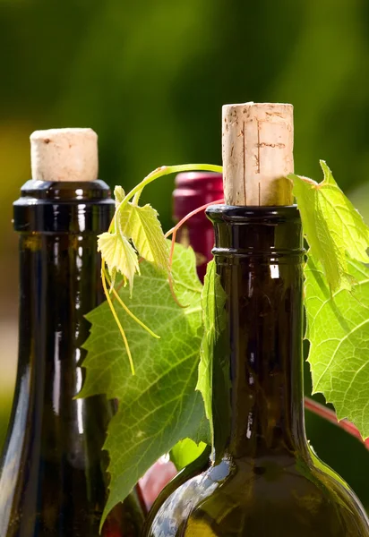 Бутылка вина с листьями смородины вокруг — стоковое фото
