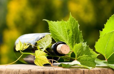 Frenk üzümü şarap şişesiyle çevresinde bırakır.