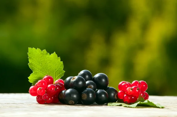 Vinbär med blad, mat koncept — Stockfoto