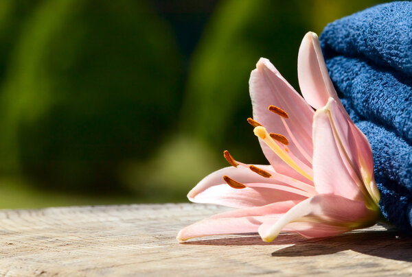 Полотенца с цветами
