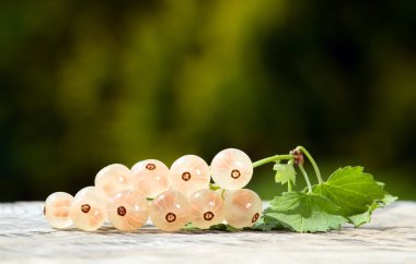 Frenk üzümü yaprağı, gıda kavramı ile