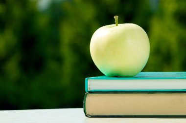 Apple kitaplar, okul kavramı için geri