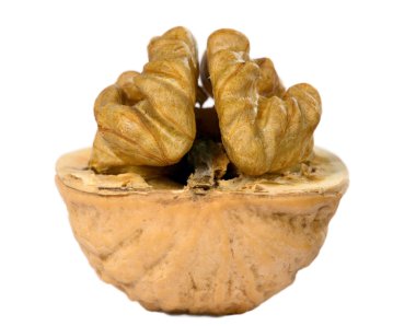 kahverengi Yunan somun