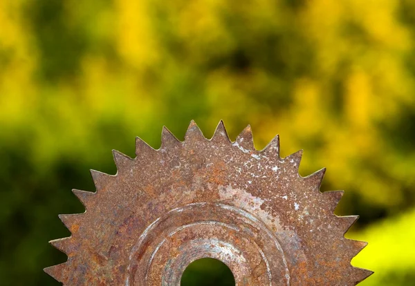 Rusted saw blade in nature — Stock Photo, Image