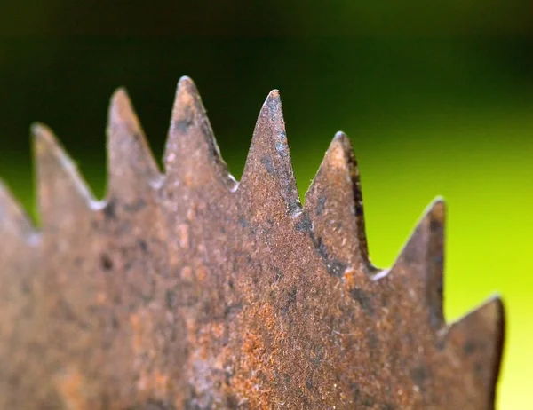 Rostiges Sägeblatt in der Natur — Stockfoto