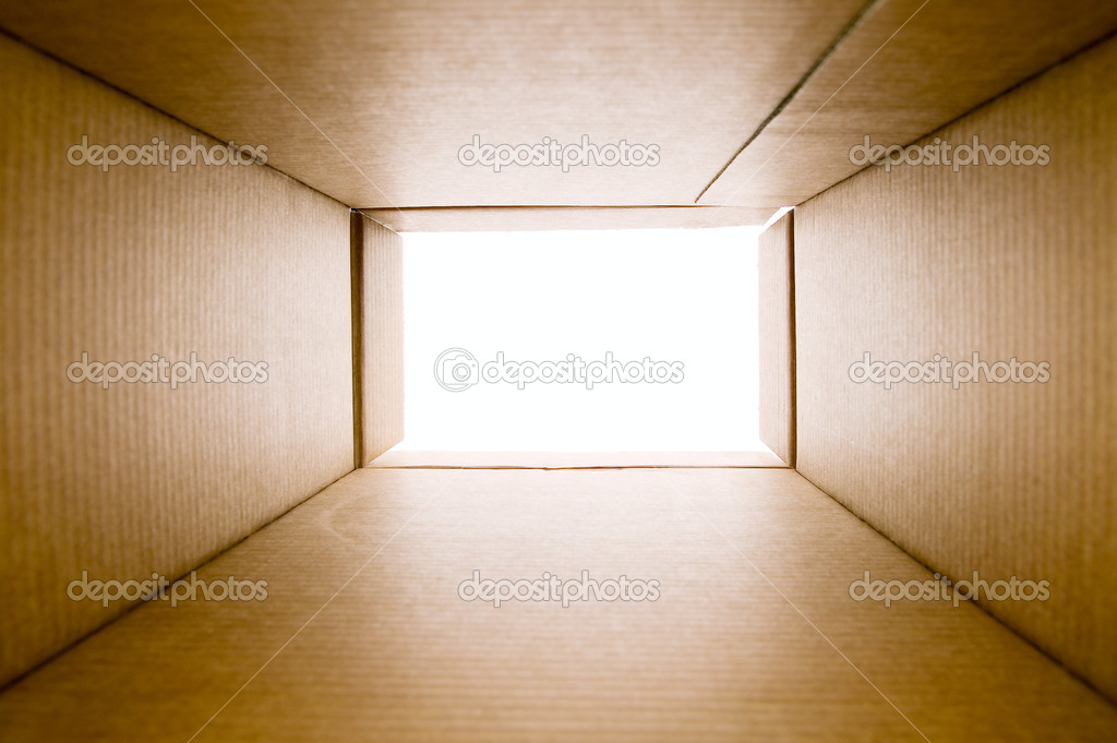 Opened blank paper box