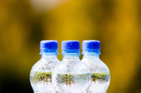 Doğa arka plan üzerinde maden suyu şişeleri — Stok fotoğraf