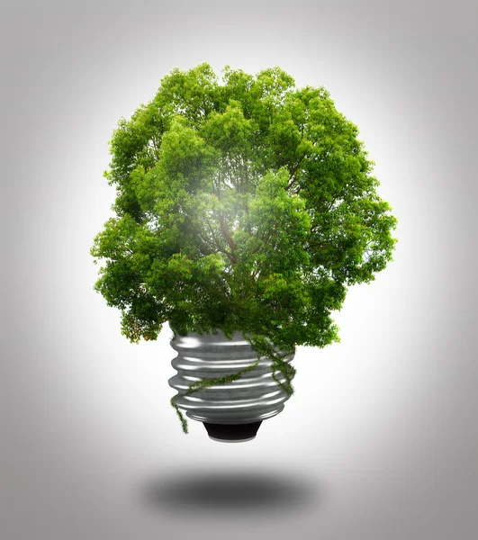 Eco light bulb — Stock Photo, Image