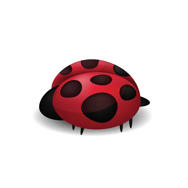 Ladybug isolated on white — Stock Vector