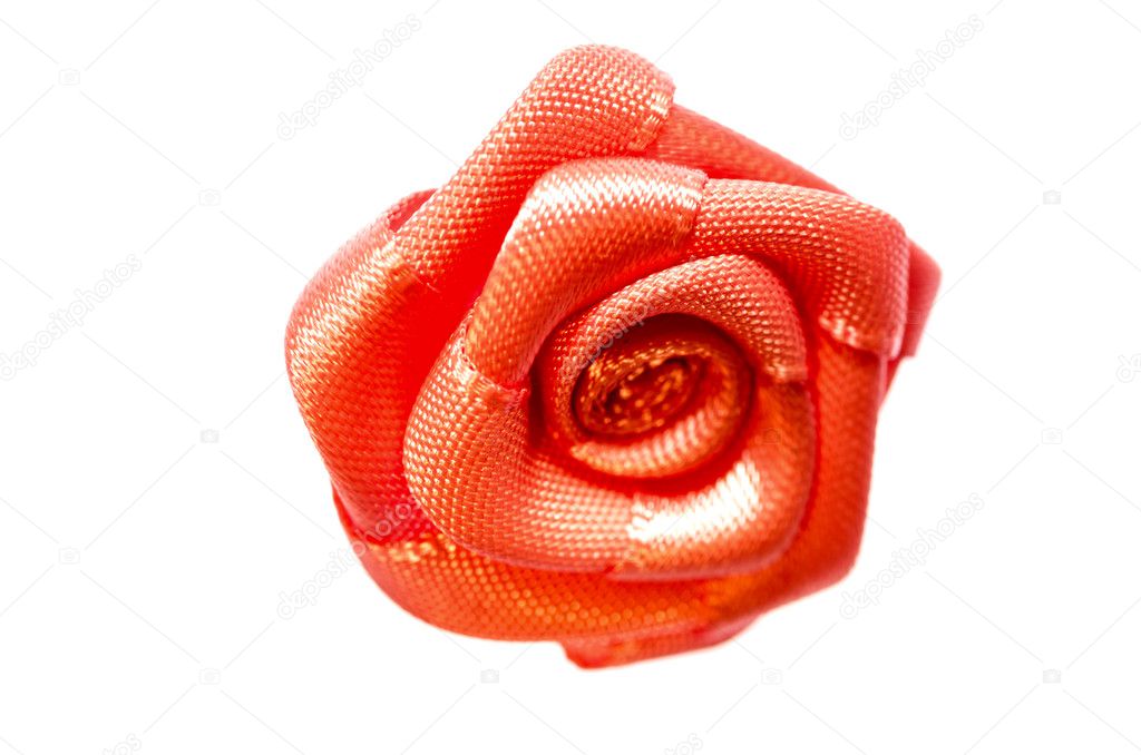 Flower red color rose.