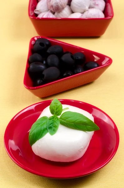 Italiensk mozzarella. — Stockfoto