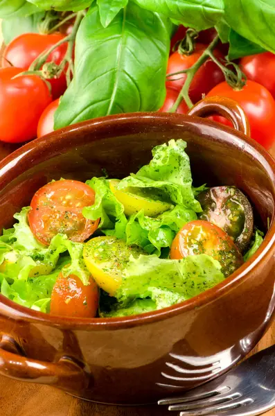 Salad of fresh vegetables. — Stock Photo, Image