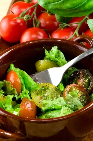 Salad of fresh vegetables. — Stock Photo, Image