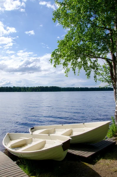湖の岸。夏の風景 — ストック写真