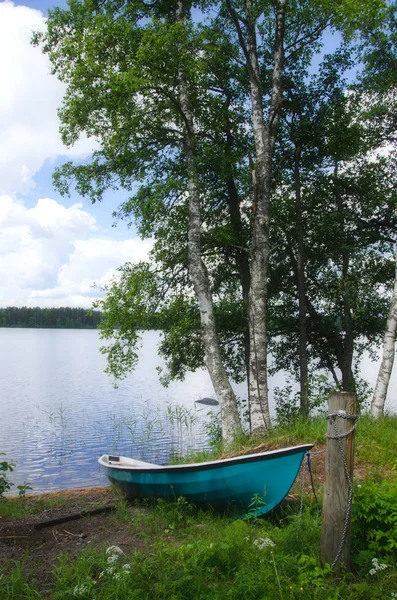 Lake shore. — Stock Photo, Image