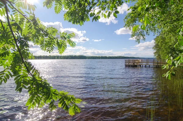 Sjöstranden. — Stockfoto