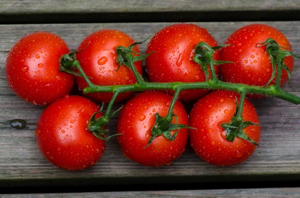 Verse rode tomaten — Stockfoto