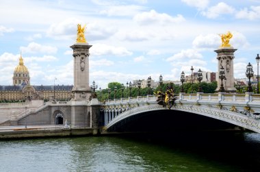 Alexander 3 bridge in Paris. clipart