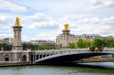 Alexander 3 köprü Paris.