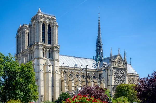 Notre Dame of Paris. — Stock Photo, Image