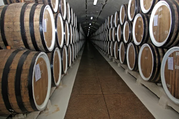 Wine barrels — Stock Photo, Image