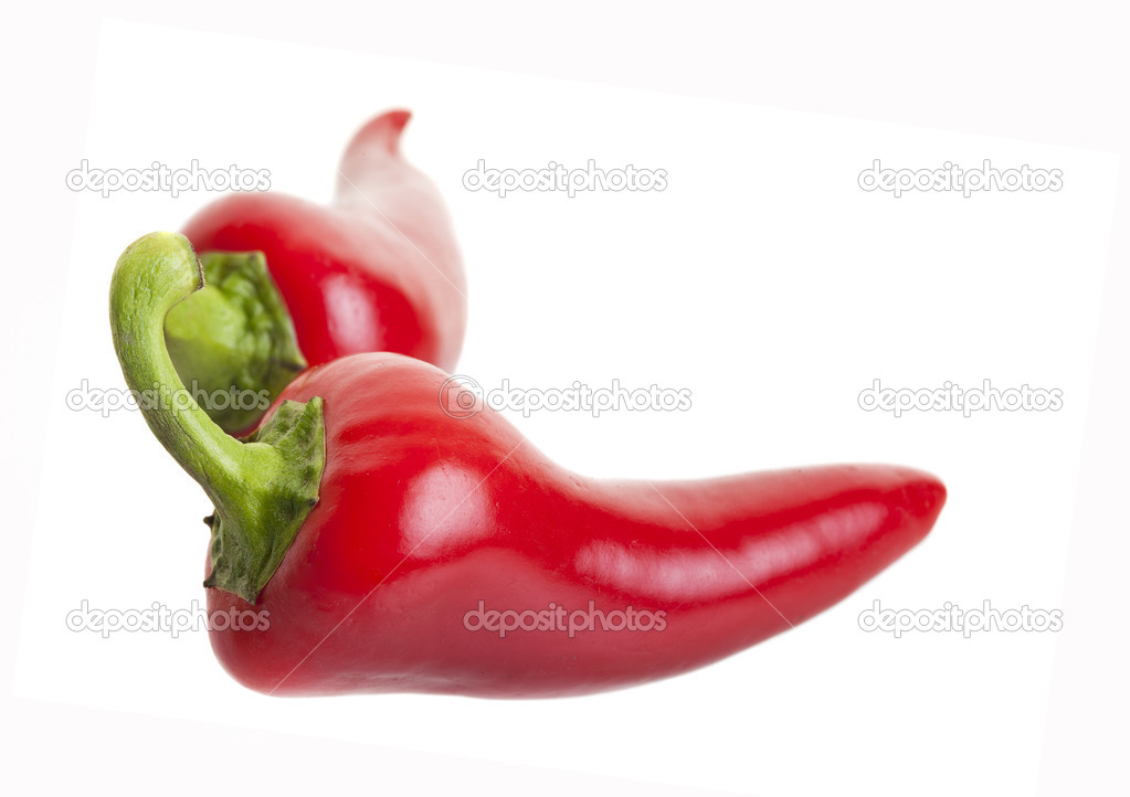 Hot jalapeno peppers