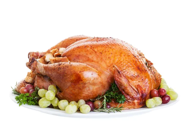 Turkey — Stock Photo, Image