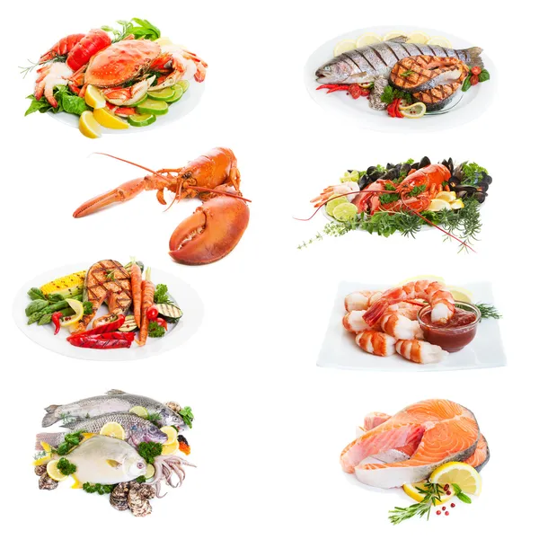 Fischcollage — Stockfoto