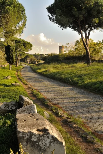 Appia Antica Street in Rome — Stock Photo, Image