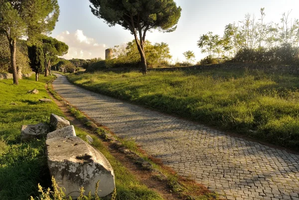 Appia Antica Street — Stock Photo, Image