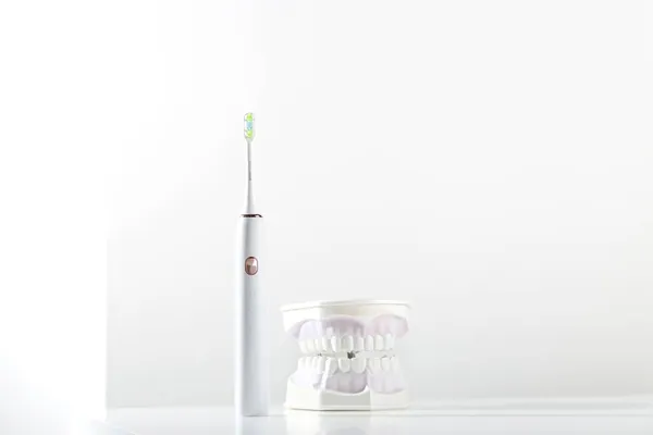 Ηλεκτρονική οδοντόβουρτσα δίπλα στο σαγόνι μοντέλο με δόντια στο φως φόντο του μπάνιου. Ελάχιστο φόντο με χώρο αντιγραφής. — Φωτογραφία Αρχείου