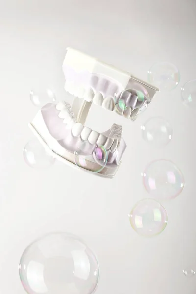 Model of jaws with white teeth among soap bubbles on light background. — Stock Photo, Image