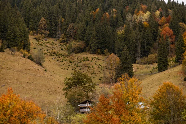 Podzimní Horská Krajina Žlutou Trávou Venkovskými Dřevěnými Domy Krajina Přírody — Stock fotografie