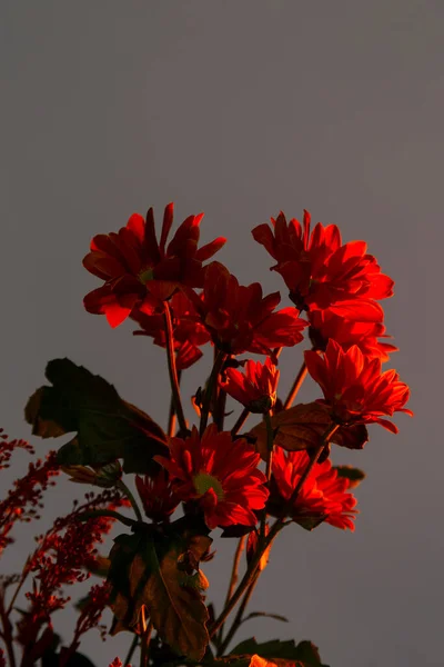 Lâmpada de pôr do sol elétrica para iluminação amarela quente e atmosférica em casa. — Fotografia de Stock