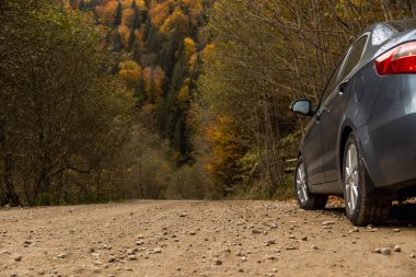 Sonbahar dağlarında, orman yolunda, sarı ve yeşil ağaçların arasında mavi bir araba. Seyahat tutkusu ve yerel gezi konsepti.