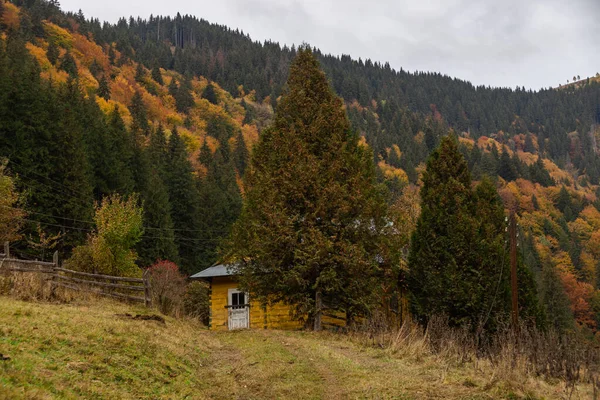 Осінній гірський пейзаж з осіннім лісом та сільським дерев'яним будинком. Природа села — стокове фото