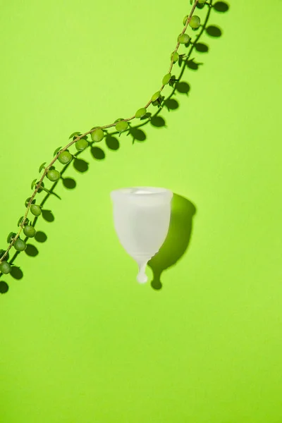Menstrual Cup Green Leaves Sustainable Period Zero Waste — Stock Photo, Image