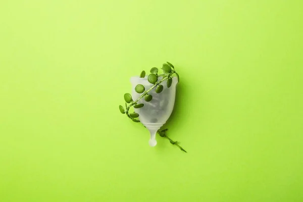 Menstrual Cup Green Leaves Sustainable Period Zero Waste — Stock Photo, Image