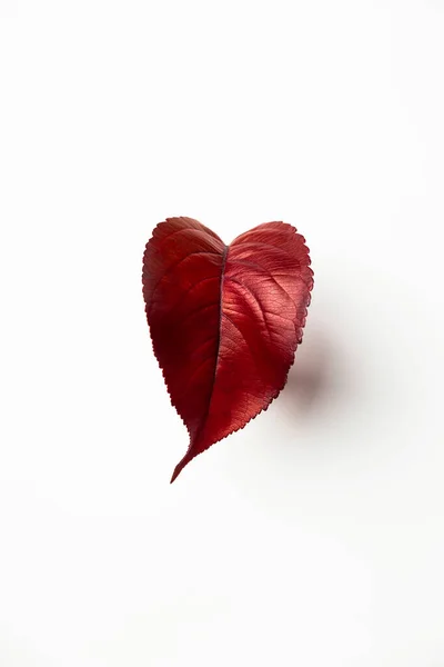 Осенний Красный Лист Форме Сердца — стоковое фото